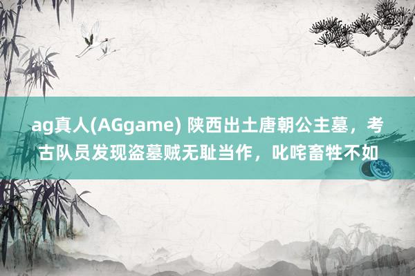 ag真人(AGgame) 陕西出土唐朝公主墓，考古队员发现盗墓贼无耻当作，叱咤畜牲不如