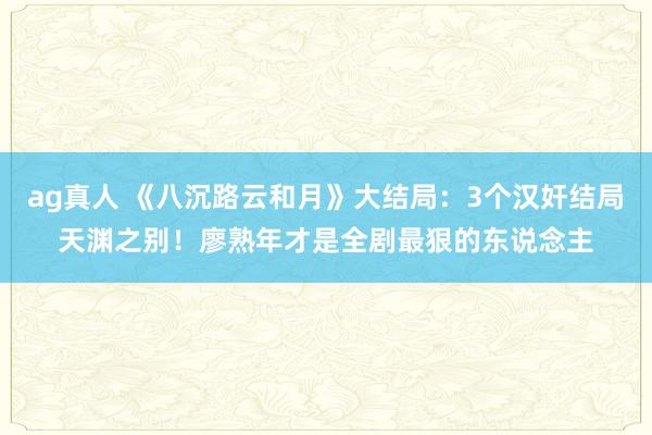 ag真人 《八沉路云和月》大结局：3个汉奸结局天渊之别！廖熟年才是全剧最狠的东说念主