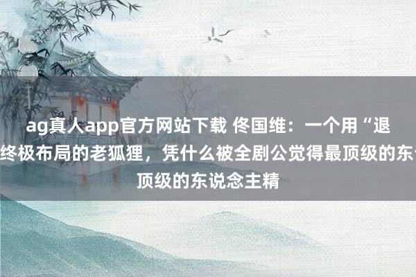 ag真人app官方网站下载 佟国维：一个用“退休”完成终极布局的老狐狸，凭什么被全剧公觉得最顶级的东说念主精