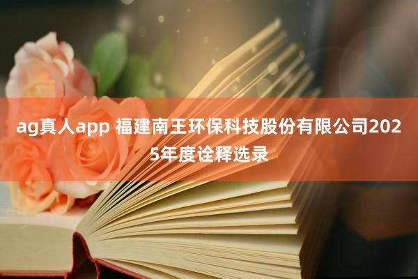 ag真人app 福建南王环保科技股份有限公司2025年度诠释选录