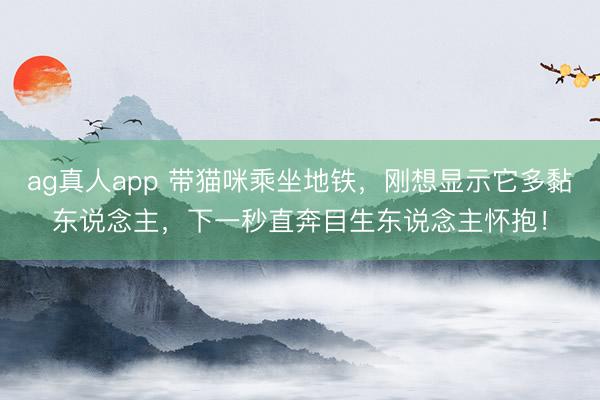 ag真人app 带猫咪乘坐地铁，刚想显示它多黏东说念主，下一秒直奔目生东说念主怀抱！