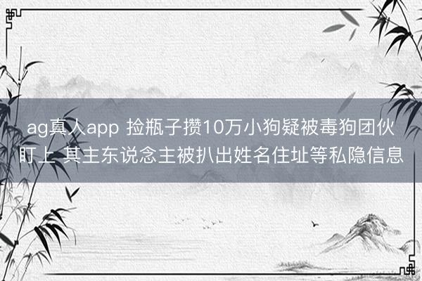 ag真人app 捡瓶子攒10万小狗疑被毒狗团伙盯上 其主东说念主被扒出姓名住址等私隐信息