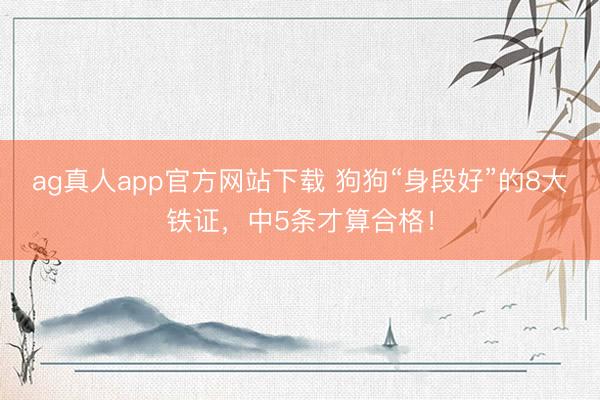 ag真人app官方网站下载 狗狗“身段好”的8大铁证,中5条才算合格!