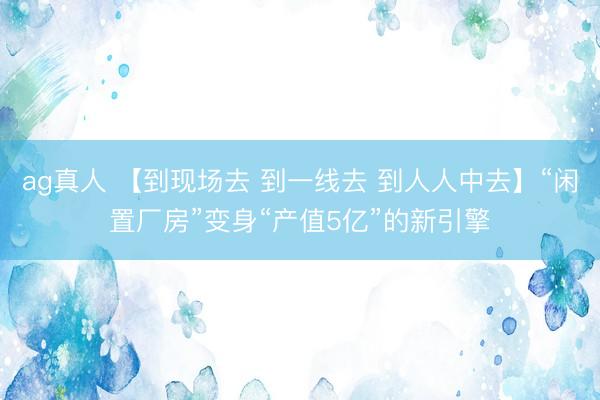 ag真人 【到现场去 到一线去 到人人中去】“闲置厂房”变身“产值5亿”的新引擎